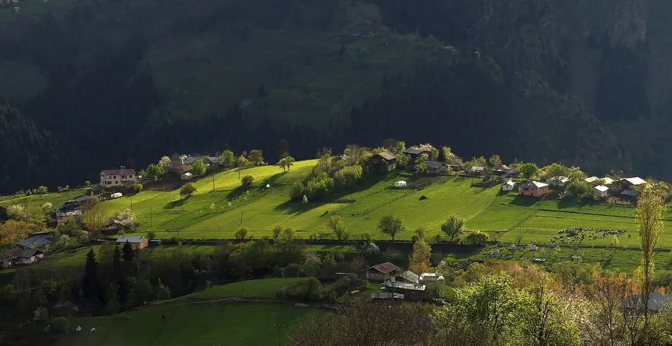 Artvin Şavşat'ta ormanlık yamaçlar arasında güneş alan çayırlar ve Yavuzköy evleri