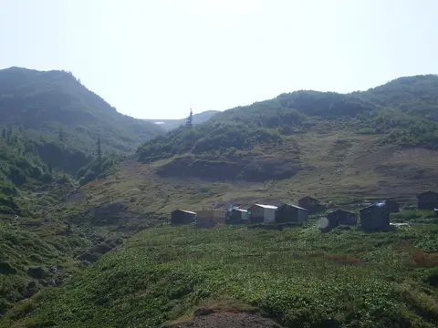 Artvin Camili yöresinde ormanlık alanda arı kovanları