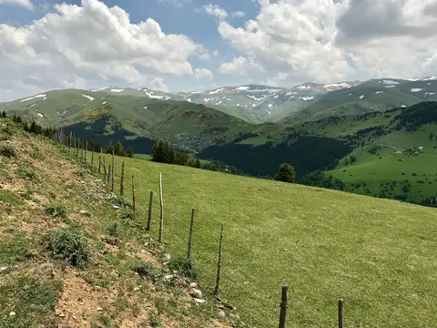 Giresun Dereli'de Kümbet yaylasında ahşap direkli tel çitle ayrılmış çayırlar