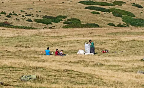 Geniş yayla çayırında biçilen otları çuvallara dolduran çiftçiler