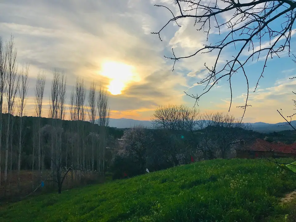 Bergama'ya bağlı Bozköy'de gün batımında kavak ağaçları, çayırlık yamaç ve uzakta kiremit çatılar
