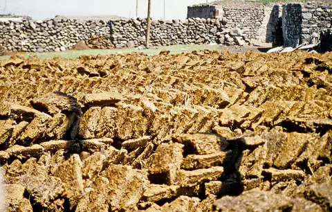 Kars yaylasında Yalınkaya köyünde taş duvar önünde kurumaya bırakılmış tezek kalıpları