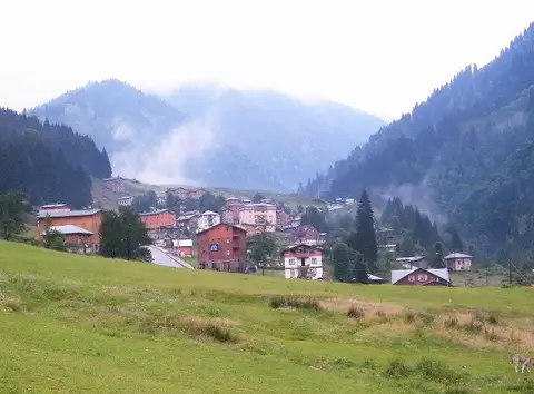Rize Çamlıhemşin'de Ayder yaylasında çayır kenarındaki ahşap yayla evleri