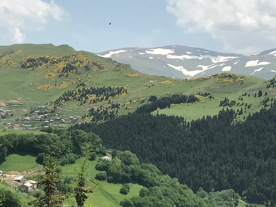 Giresun Dereli'de Kümbet yaylasından ormanlık yamaçlara ve yayla evlerine bakış