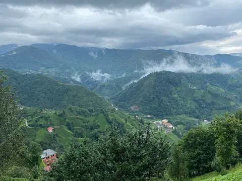 Rize Çayeli'deki Aşıklar köyünün Asmalık mevkiinde çay bahçeleri ve evler