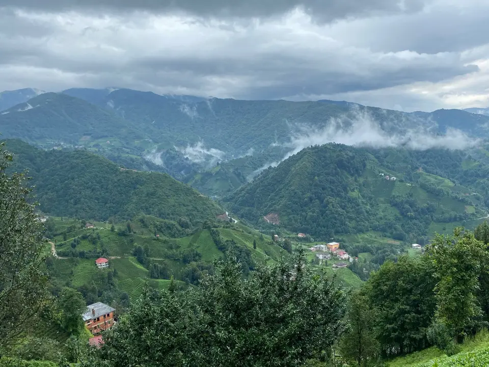 Rize Çayeli'deki Aşıklar köyünün Asmalık mevkiinde çay bahçeleri ve evler