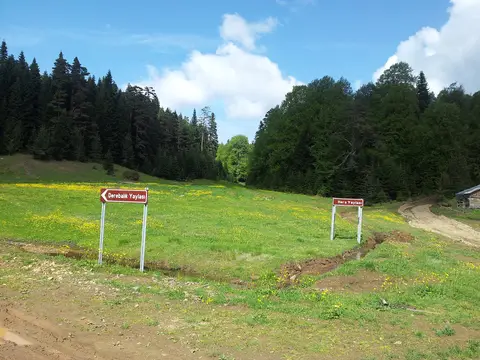 Mudurnu yakınlarında çam ormanıyla çevrili çayırda yayla adını gösteren iki yön tabelası