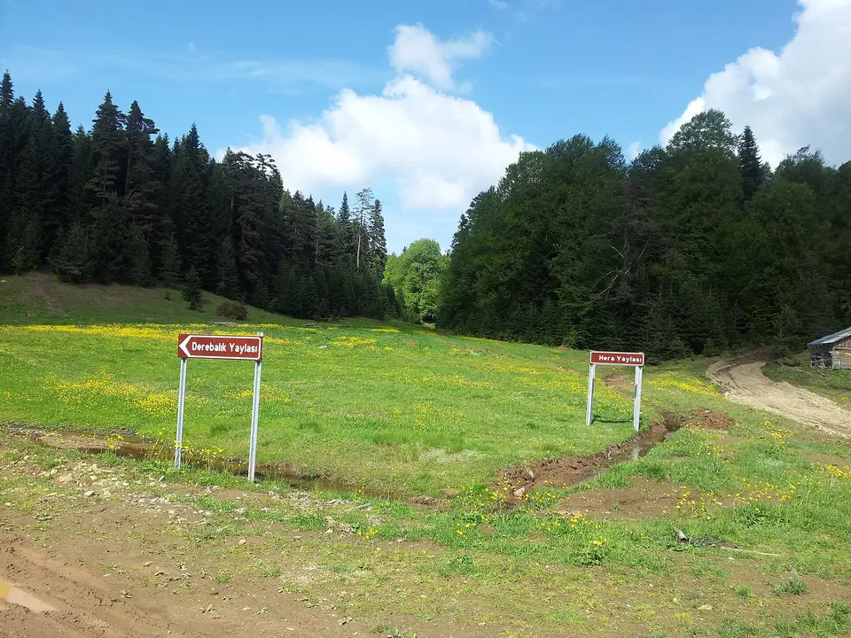 Mudurnu yakınlarında çam ormanıyla çevrili çayırda yayla adını gösteren iki yön tabelası