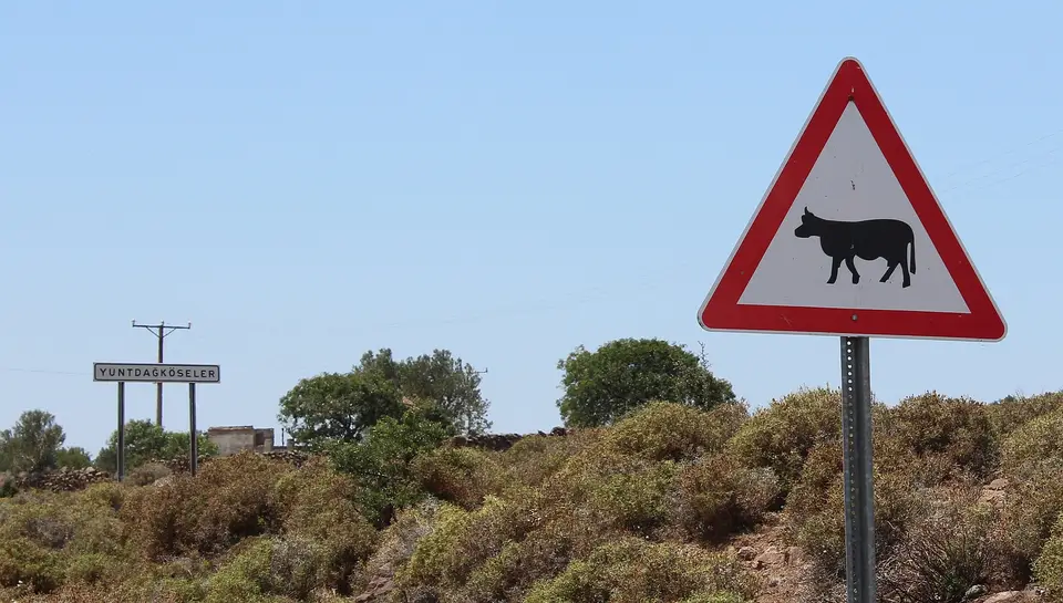 Yuntdağı'nda çalılık arazi kenarında hayvan geçidi uyarı levhası ve arkada küçük bir yol levhası
