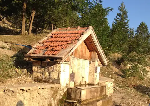 Çam ağaçları arasında kiremit çatılı, önünde taş yalağı olan ahşap köy çeşmesi
