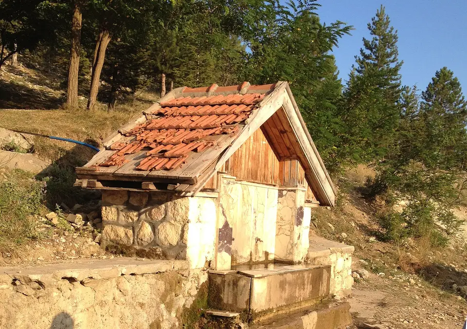 Çam ağaçları arasında kiremit çatılı, önünde taş yalağı olan ahşap köy çeşmesi