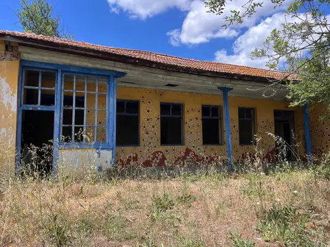 Kepirtepe Köy Enstitüsü yerleşkesinde mavi pencereli, kiremit çatılı tek katlı yapı ve önündeki otlar