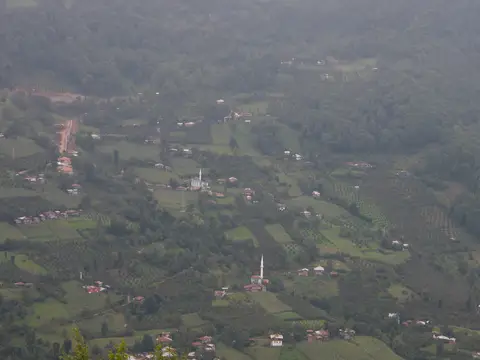 Artvin Camili yöresinde ormanlık yamaçlara dağılmış köy evleri ve cami