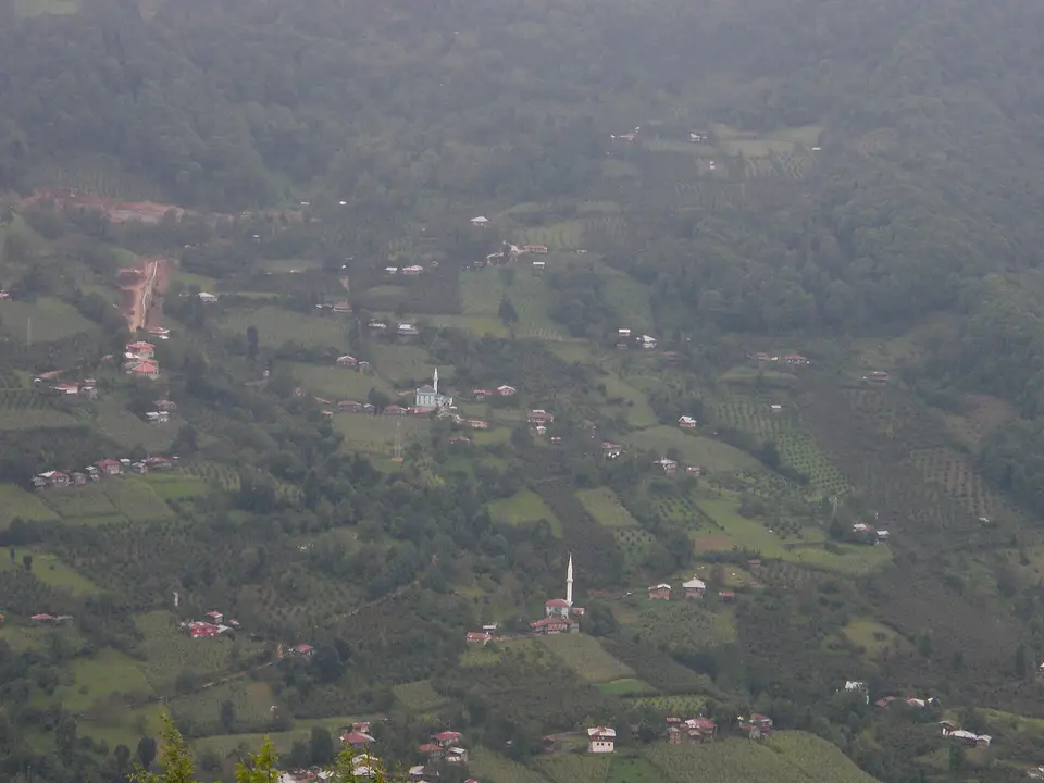 Artvin Camili yöresinde ormanlık yamaçlara dağılmış köy evleri ve cami