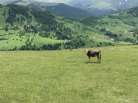 Giresun Dereli'de Kümbet yaylasının çayırlarından vadideki evlere bakış