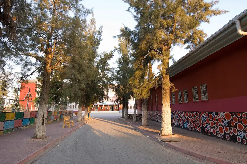 Ağaçlı bir yol boyunca uzanan duvarları boyalı ilkokul binası