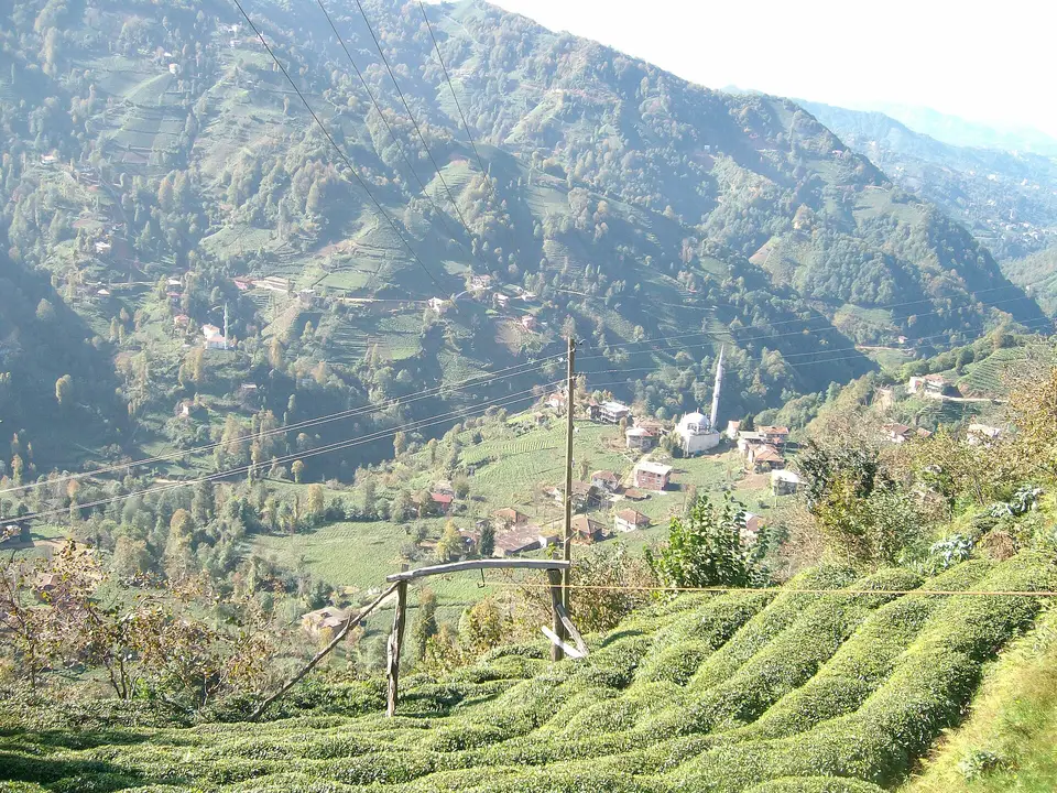 Rize Kalkandere'deki Yeşilköy'de çay bahçeleriyle kaplı dik yamaçlar ve dağınık evler