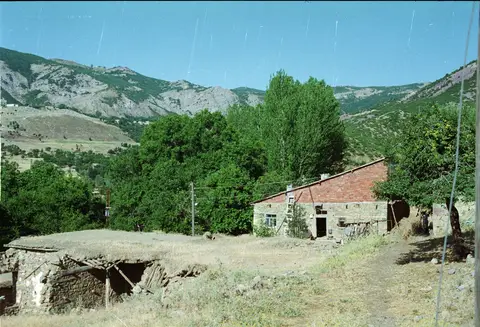 Tunceli'de Taşıtlı köyünde kayalık dağ eteğinde taş ev ve ağaçlar