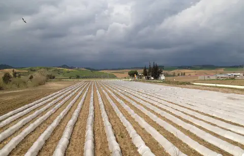 Adana Sarıçam'da fırtına öncesi alçak tünel seralarla örtülü sebze tarlası
