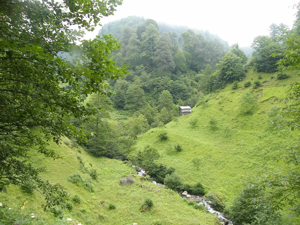 Ormanla çevrili dar vadide yeşil çayırlar, dere ve tek bir ahşap ev