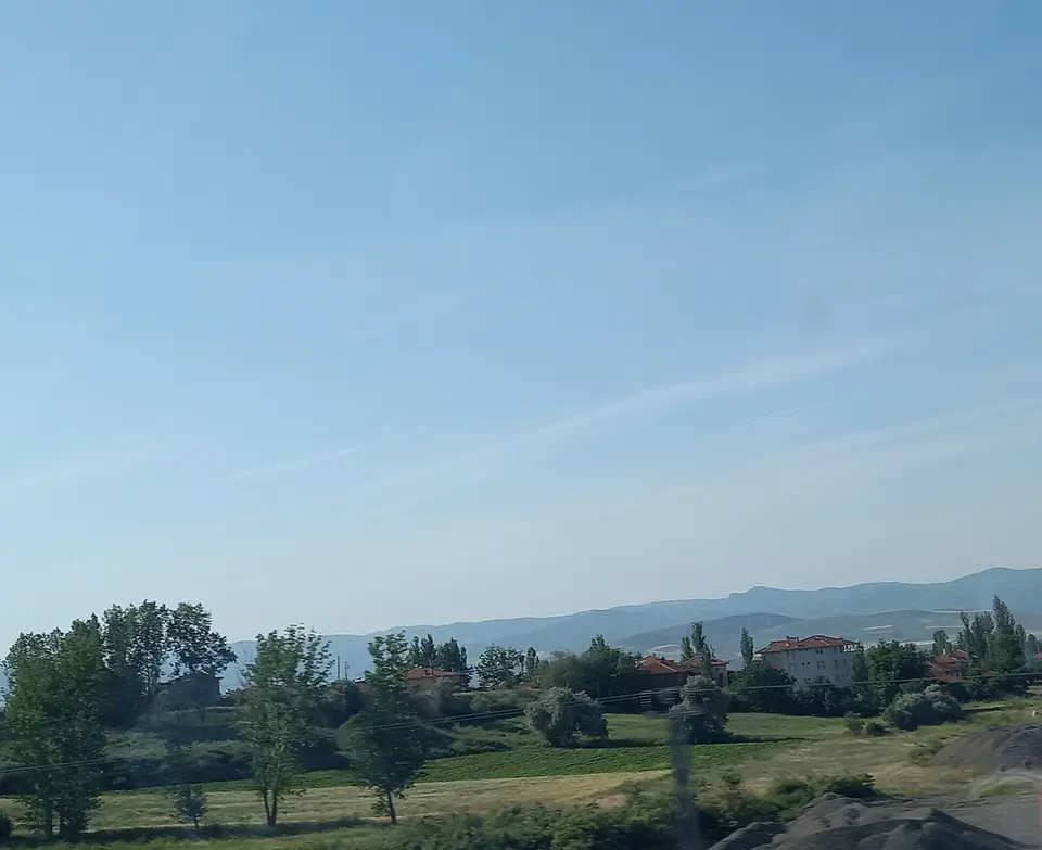 Bayat'ta Yeniköy yakınlarındaki Akkaya yerleşiminin ağaçlar arasındaki evleri