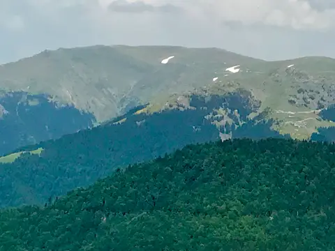 Kümbet Yaylası'ndan görünen ormanlı yamaçlar ve üst kısımları çayırla kaplı dağlar