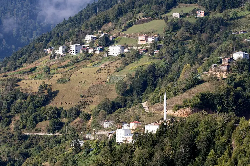 Pınarlar köyünden bir görünüm (Dereli, Giresun)