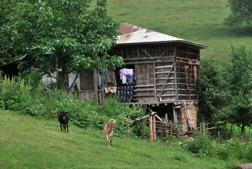 Alancık köyünden bir görünüm (Dereli, Giresun)