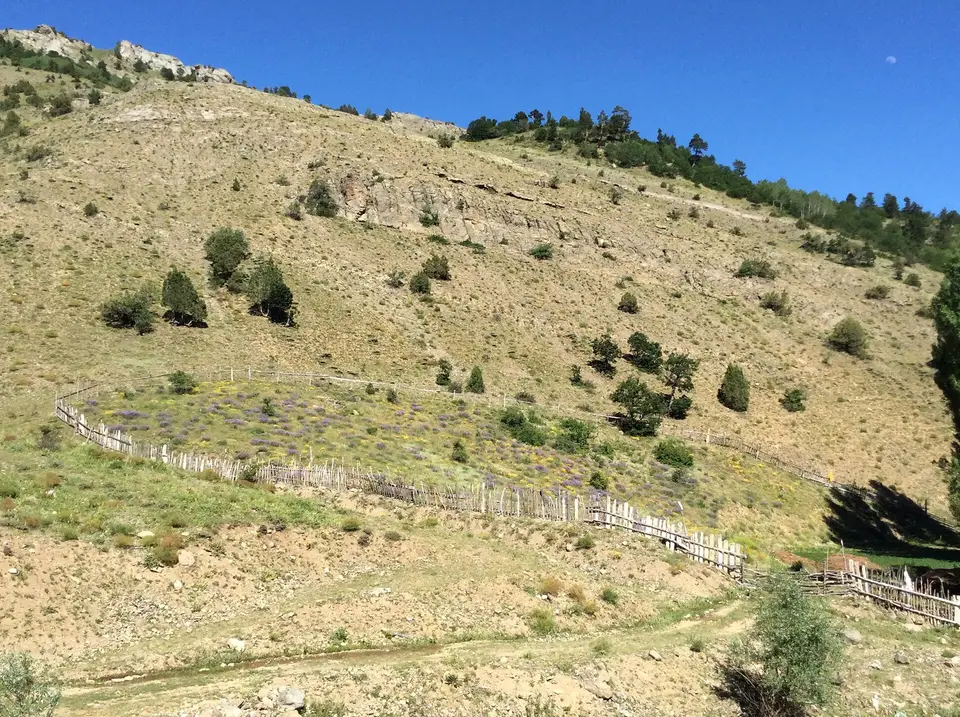 Arduç köyünden bir görünüm (Alucra, Giresun)