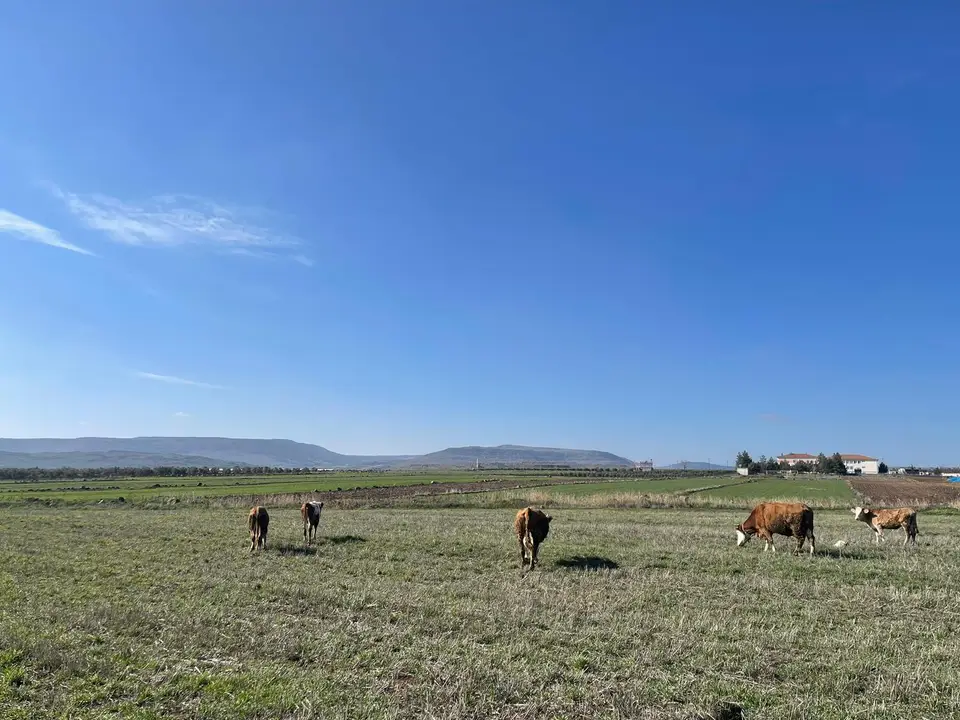 Karamelik köyünden bir görünüm (Kilis Merkez, Kilis)
