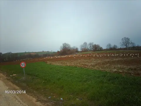 Necmiyeköy köyünden bir görünüm (Bilecik Merkez, Bilecik)