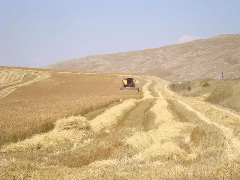 Nasır köyünden bir görünüm (Zara, Sivas)