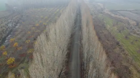 Burası kasımcan köy yolu kavak ağaçları halk dilinde ise kaleme ağaçları ile ünlü olan yoldur