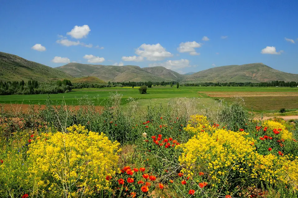 Akşar köyünden bir görünüm (Bayburt Merkez, Bayburt)