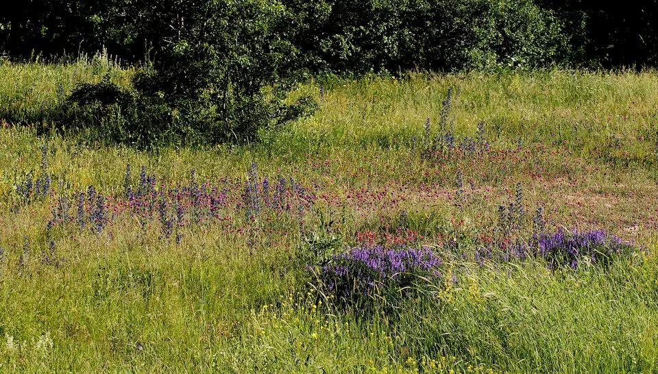 Tohumluk köyünden bir görünüm (Alucra, Giresun)
