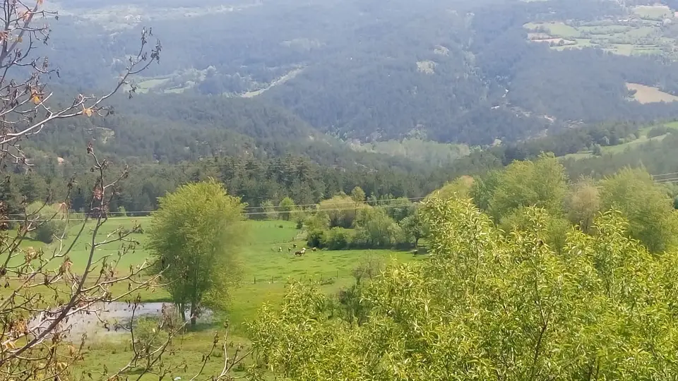 Elmayakası köyünden bir görünüm (Kastamonu Merkez, Kastamonu)