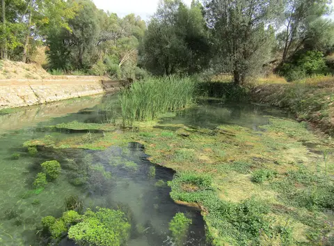 Pınarbaşı (İnkışla köyüne yakın bir konumda) Çepni deresinin kaynağı