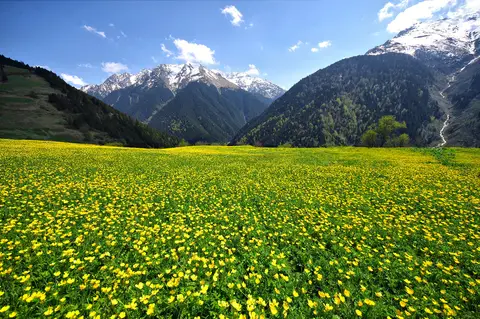 Çatköy köyünden bir görünüm (Çamlıhemşin, Rize)