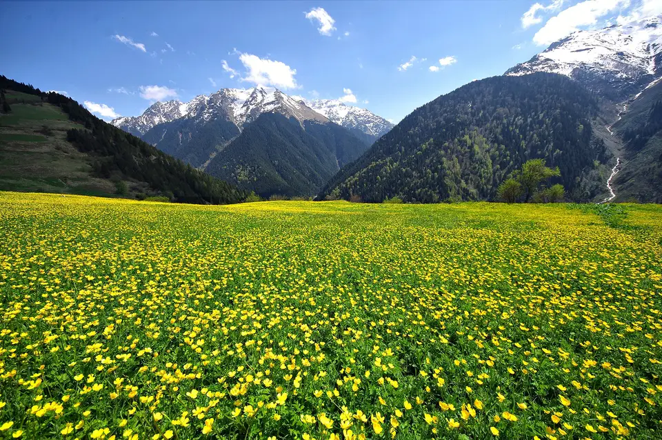 Çatköy köyünden bir görünüm (Çamlıhemşin, Rize)