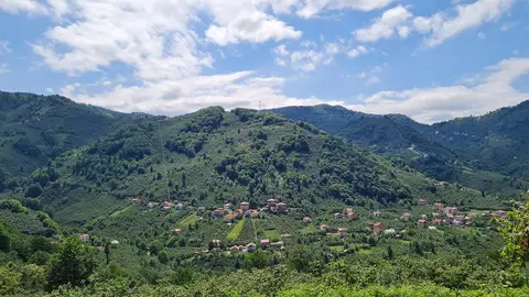 Çamlıca köyünden bir görünüm (Keşap, Giresun)