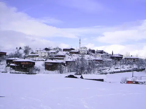 Taşköprü'ye bağlı Çambaşı köyünün genel görünümü