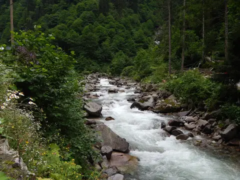 Yukarışimşirli köyünden bir görünüm (Çamlıhemşin, Rize)