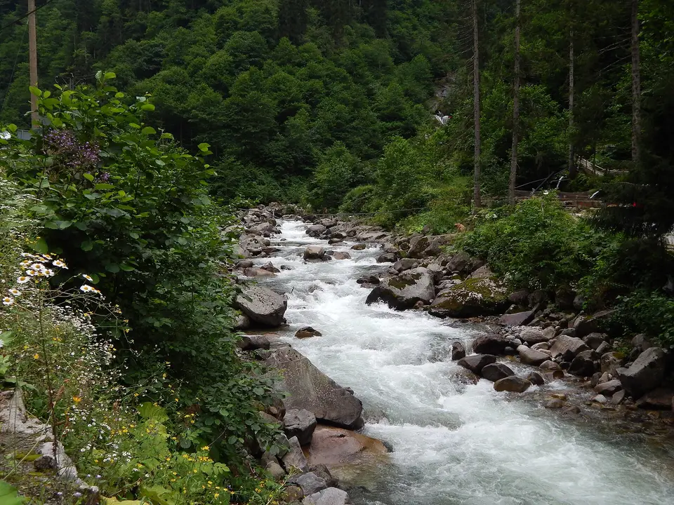 Yukarışimşirli köyünden bir görünüm (Çamlıhemşin, Rize)