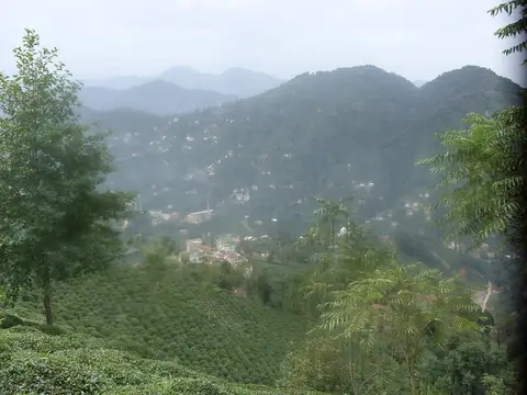 Veliköy köyünden bir görünüm (Rize Merkez, Rize)