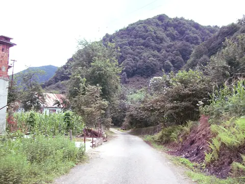 Sancaklıtepe köyünden bir görünüm (Keşap, Giresun)