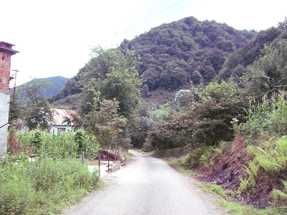 Sancaklıtepe köyünden bir görünüm (Keşap, Giresun)