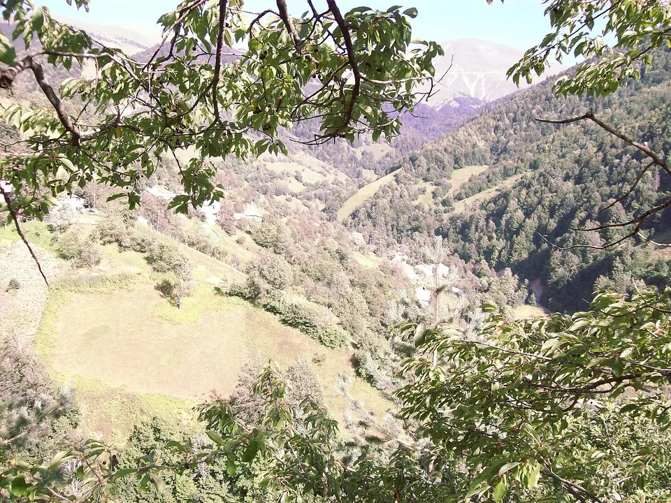 Güllüce köyünden bir görünüm (Yağlıdere, Giresun)