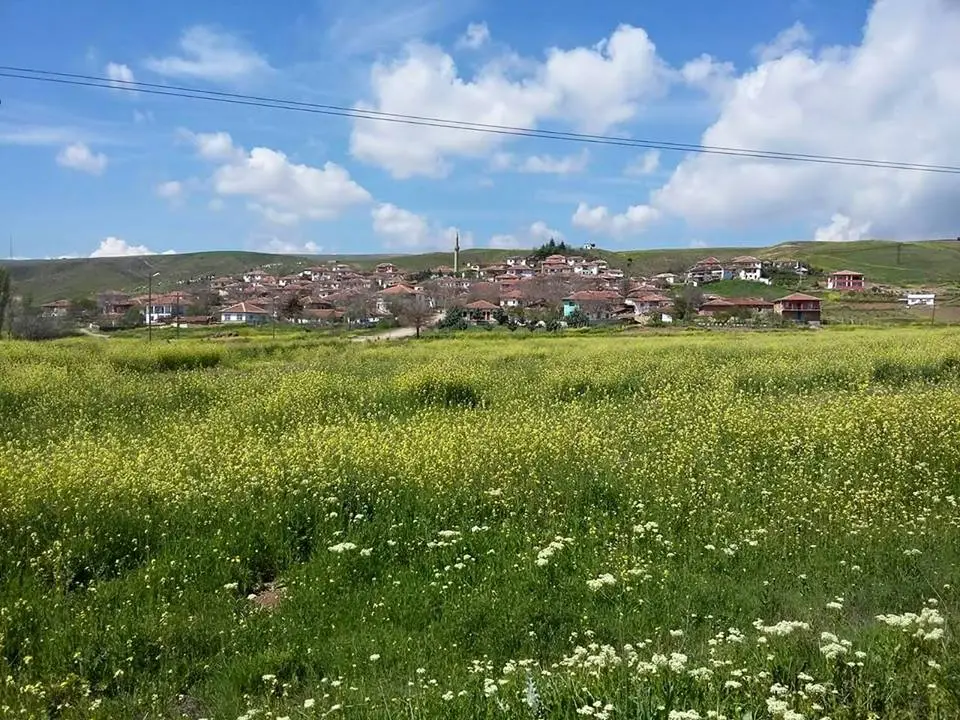 Evliyalı köyünden bir görünüm (Delice, Kırıkkale)