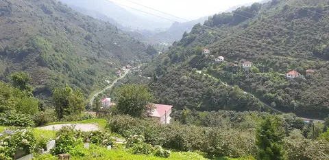 Boğalı köyünden bir görünüm (Görele, Giresun)