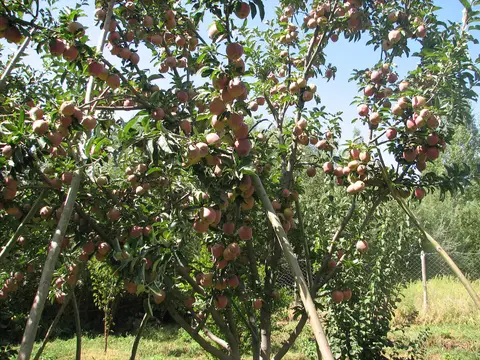 Bozçanak köyünden bir görünüm (Palu, Elazığ)